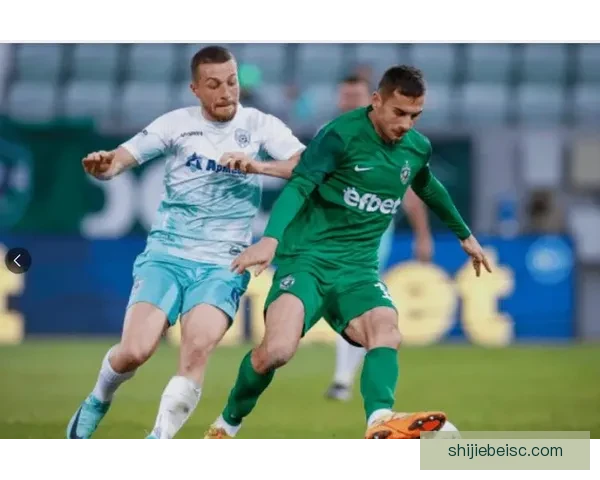 卢多戈雷茨激战法鲁尔五球鏖战险胜对手展现顽强斗志